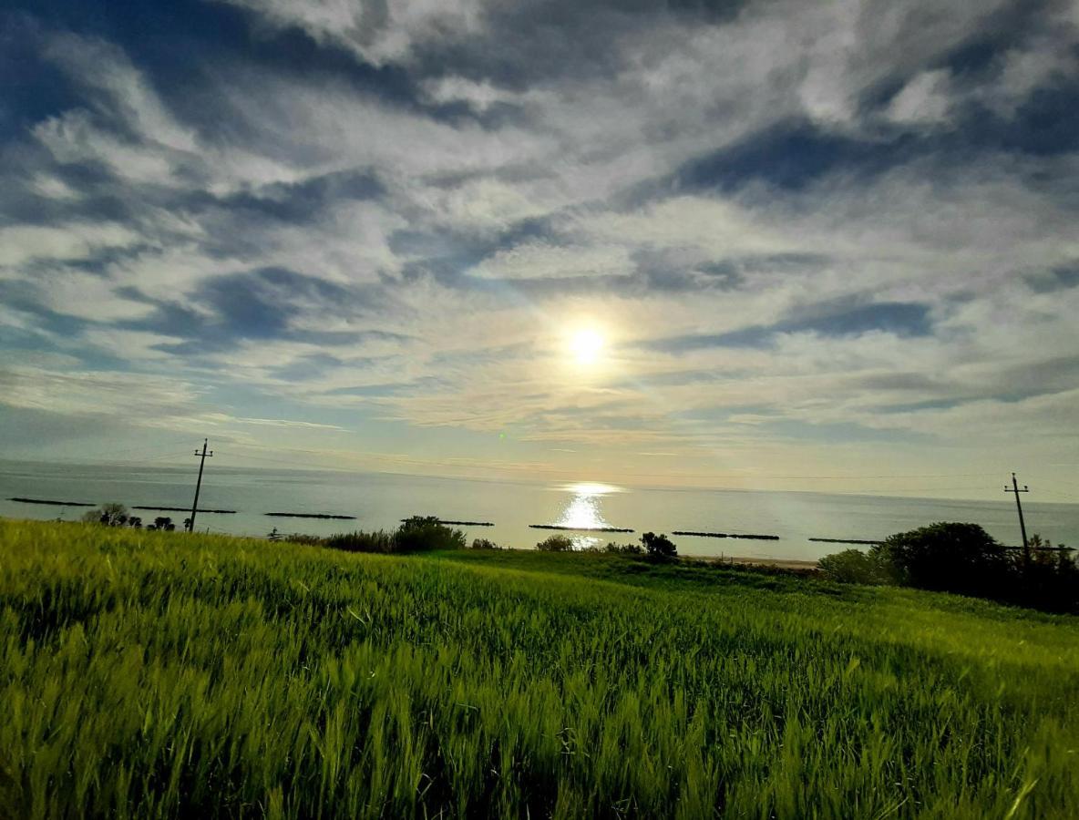 Bio Agriturismo Mare In Campagna Campofilone Eksteriør billede