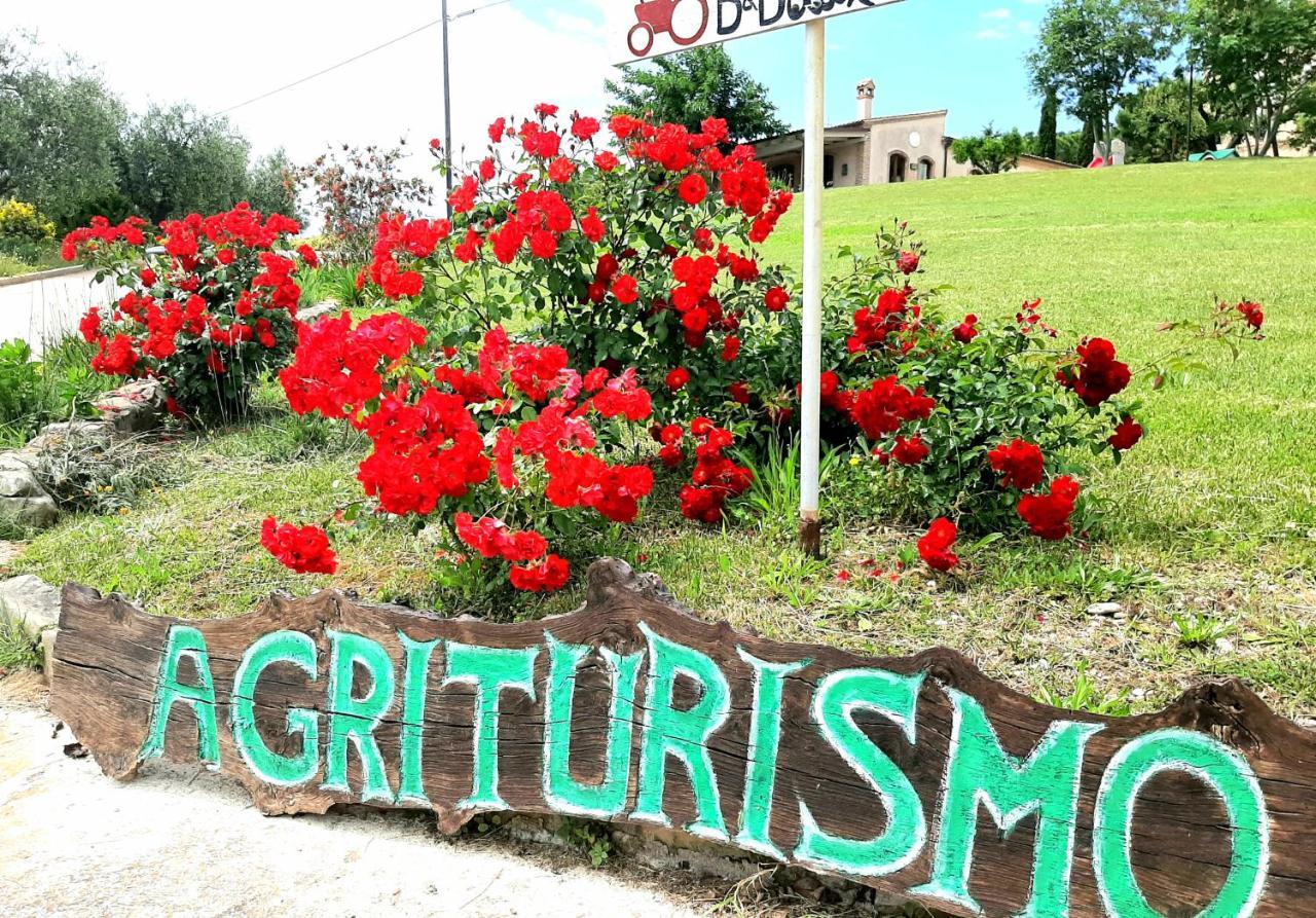 Bio Agriturismo Mare In Campagna Campofilone Eksteriør billede